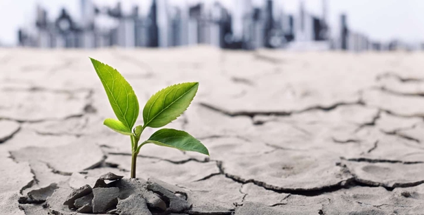 آگاهی و آمادگی، محور پدافند غیرعامل در حفظ سلامت جامعه